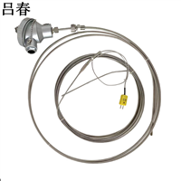定制一体化温度变送器 铠装热电阻 细长款热电阻 温度探头