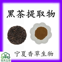 黑茶提取物 茶褐素98%  水溶性黑茶粉 速溶粉