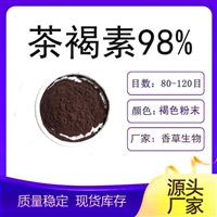 茶褐素98%  黑褐色粉末  水溶性黑茶提取物  茶黑素