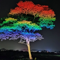 彩虹投射灯 园林景观灯 树木染色灯 夜景灯光  亮化工程