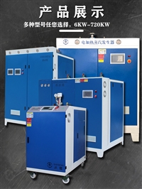 内蒙古50kg-1000kg燃油燃气蒸汽发生器水洗机干洗机烘干机应用领域节能环保