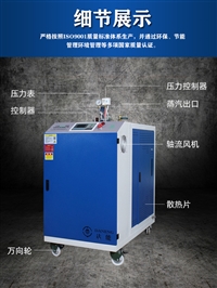 新疆6kw-720kw全自动蒸汽发生器水洗机干洗机烘干机工作原理功率可选
价格实惠厂家