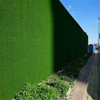 军绿色30针草坪背景墙 冀州墙面装饰绿色草坪背景围墙