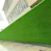 深三色20mm围挡草坪防尘网 丰宁围墙绿化施工围墙绿草坪