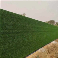 4米宽高围挡草坪防尘网 惠州建筑围墙围墙广告牌假草坪