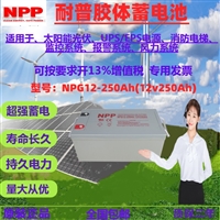 耐普电池12V250AH NPG12-250 NPP胶体太阳能蓄电池 适用UPS/EPS电源