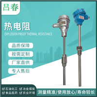 铠装铂热电阻Pt100装配式热电偶温度传感器 数显一体化温度变送器