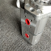 德国CONCENTRIC油泵WP09D2 1803394