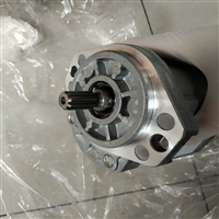 德国CONCENTRIC液压泵WP09D2 1803394