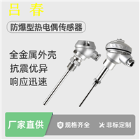 K型热电偶耐高温铂铑热电偶 高精度S型 智能热电偶温度传感器