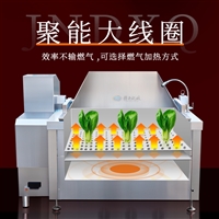 自动蔬菜肉类漂烫机焯水机 也可油炸飞水的机器