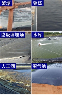 养羊鸭场粪污池防渗膜0.3mm山东厂家
