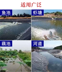 塑料猪场防水布0.6mm鲢鱼鱼池防渗土工膜