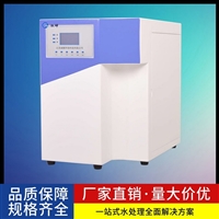 实验室高纯水制取设备 15-60L 纯水机 RO去离子超纯水机 权坤