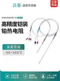 铠装铂热电阻PT100高精度耐高温可弯曲探针PT1000进口芯片500度