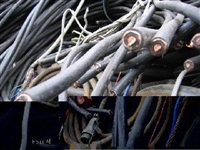 上海收购废电线，电缆线回收，上海收购废旧的网线