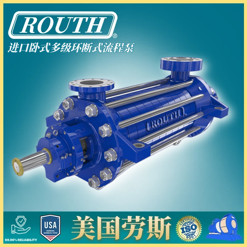 进口化工流程泵 卧式多级环断式 高压 高温 离心 RT-GP 美国劳斯ROUTH
