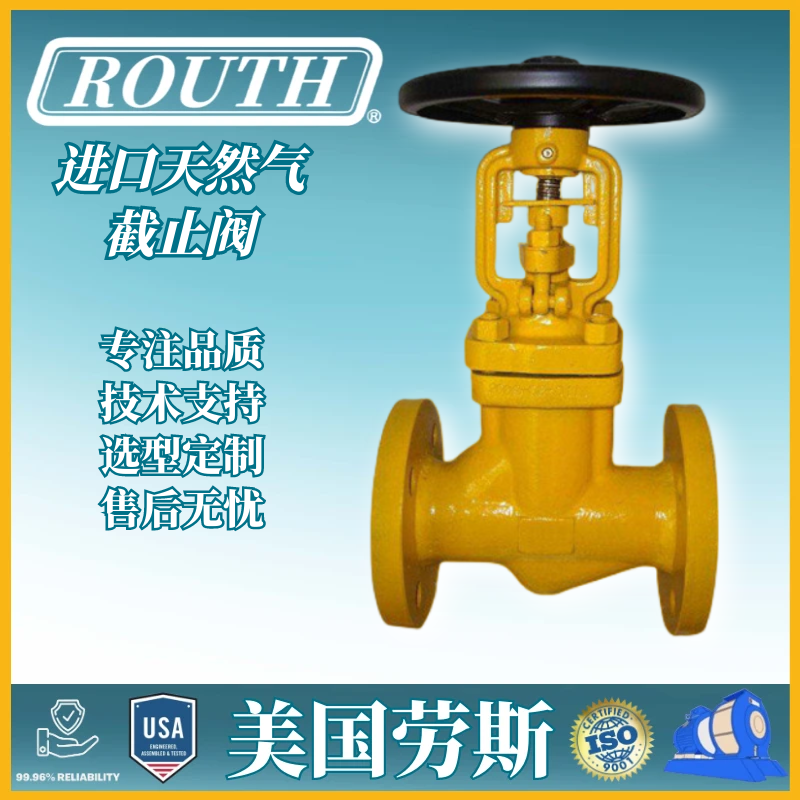 美国进口截止阀 RTJ 铜 水封 石墨 四氟 内螺纹 法兰 劳斯ROUTH