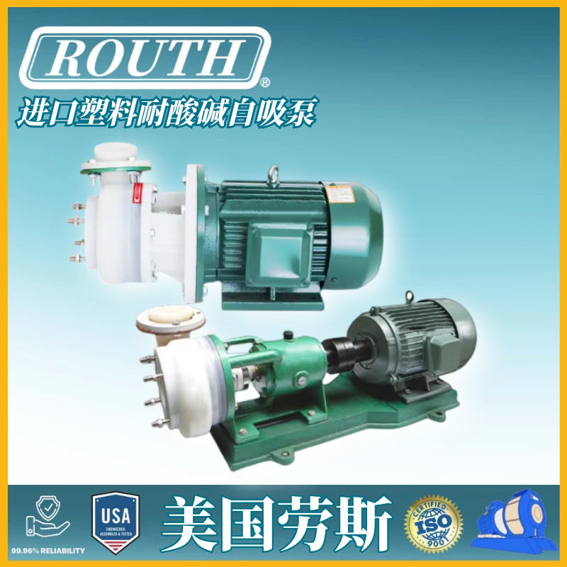 进口防空转耐腐蚀自吸泵 氟塑料 不锈钢 全自动 压力 美国劳斯ROUTH