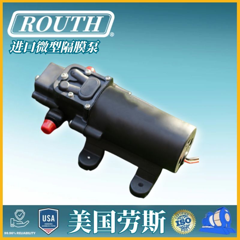 美国劳斯 进口微型隔膜泵 RP 空气 高压柱塞 水增压 气动 bsk ROUTH