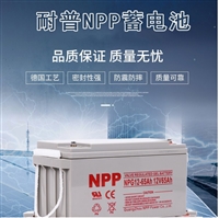 耐普蓄电池12V65AH NPG12-65 NPP太阳能电池 适用直流屏 EPS UPS电源