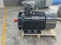 山东开元电机产防爆电机