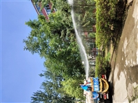 北京园林绿化打药公司 租赁高压喷药车 出租农药喷洒车树木杀虫