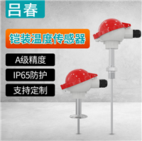 温度变送器 WZP铠装热电阻Pt100 高精度K型热电偶铠装温度传感器