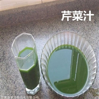 芹菜汁5kg起订 浓缩芹菜青汁香草生物供应 欧芹浓缩汁厂家
