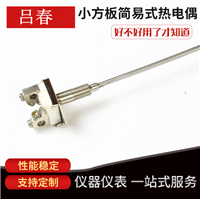 铠装热电偶探头 WRNK-101加热器测温温度传感器