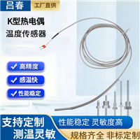 K型热电偶 温度探头 测温探头 热电偶温度传感器铂铑热电偶