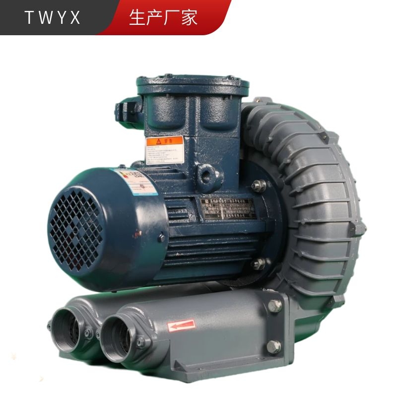 2.2KW防爆漩涡气泵CT4/BT4气体高压防爆风机 粉尘防爆鼓风机