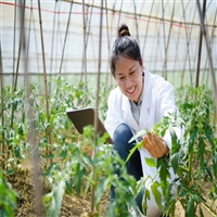 具体介绍农业科学院农艺师证怎么考多少钱(服务至上)