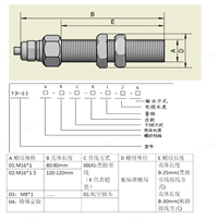  WD63转速变送器  