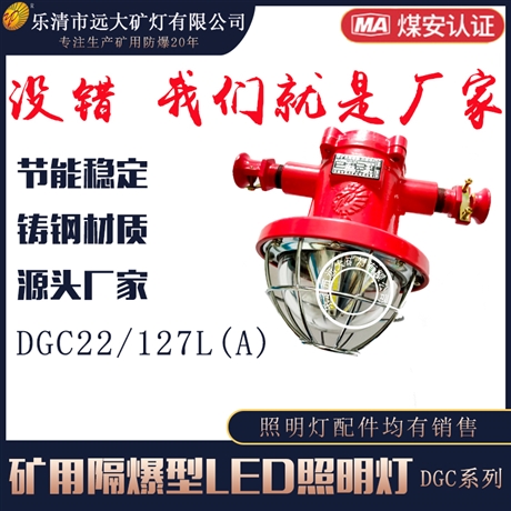 煤矿用照明灯 矿用隔爆型LED照明灯DGC22/127L(A)
