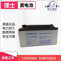 LEOCH理士蓄电池DJM1265S 机房网络机柜 直流屏UPS应急12V65AH电池