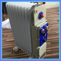 防爆取暖器密闭式电暖器  插电式暖气片  质量保证  森腾机械