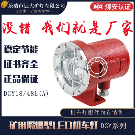 机车照明使用灯DGY18/48L(A)
