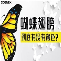 电话回收仪器仪表函数信号发生器