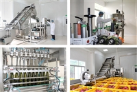 果蔬汁酵素饮料设备每小时200瓶酵素成套灌装包装设备厂家