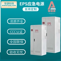 eps应急电源3kw单相延时90min照明支持定制