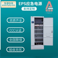 EPS应急电源1KW延时90min照明支持定制