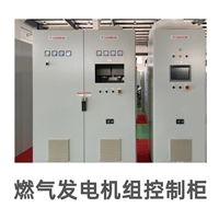 上海苏靖定制燃气发电机组控制柜