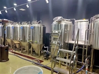 成都火锅店小型啤酒设备 日产1000升精酿啤酒的设备