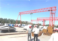 甘肃张掖龙门吊一致好评