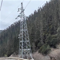 福建电力铁塔生产厂家 高压角钢塔 电力塔材质优价廉