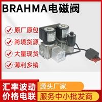 BRAHMA电磁阀EG30*SRP*GFD5燃烧器配件