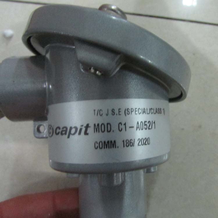上海航歐銷售capit熱電阻capit溫度傳感器