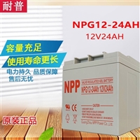 npp蓄电池NPG12-24 12V24AH 38AH 65AH 100AH 耐普太阳能电池UPS电源用