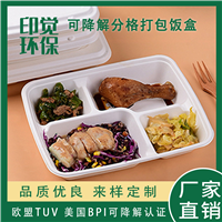 可降解分格打包饭盒 一次性餐盒 保鲜快餐便当饭盒